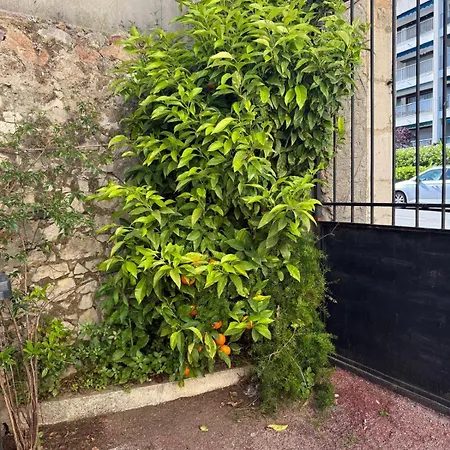 Alba - Bastide - - Azurenting *