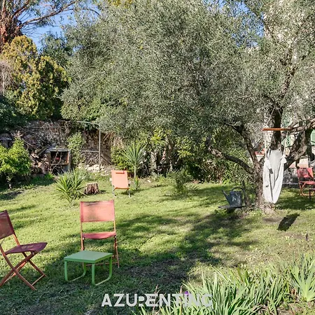 Azurenting - Bastide Alba - - Terrasse Apartamento