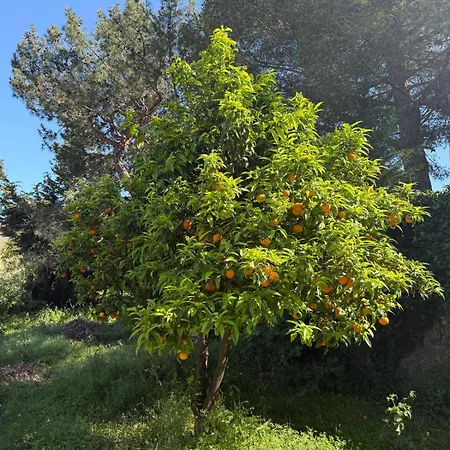 Appartement Alba - Bastide - - Azurenting